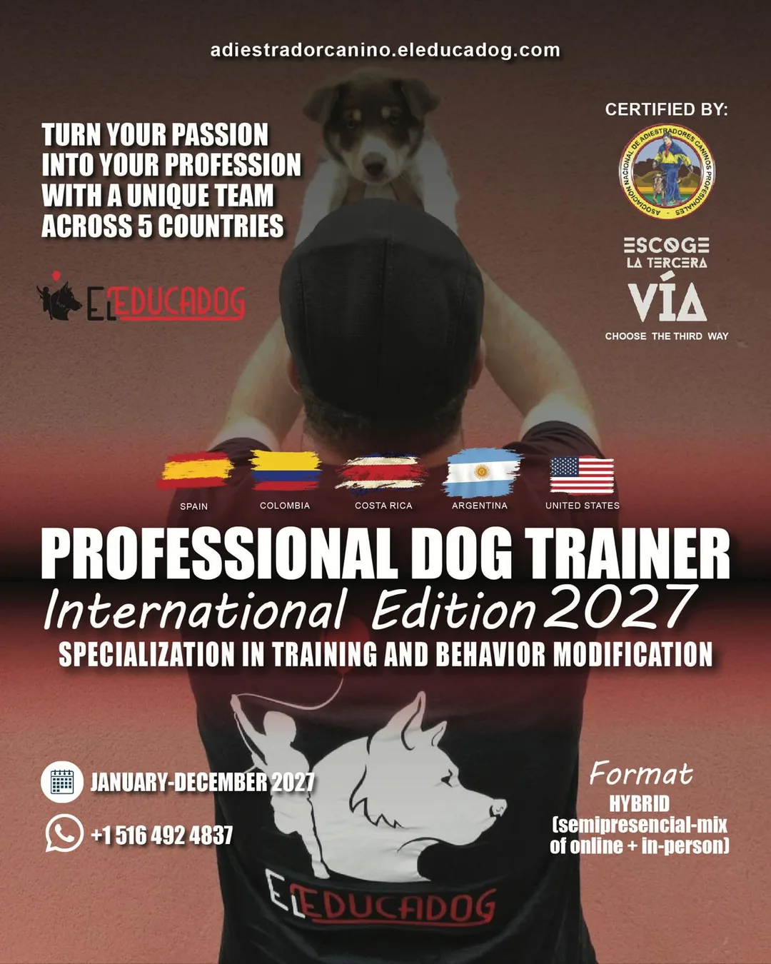 Professional Trainer poster · International Edition 2027